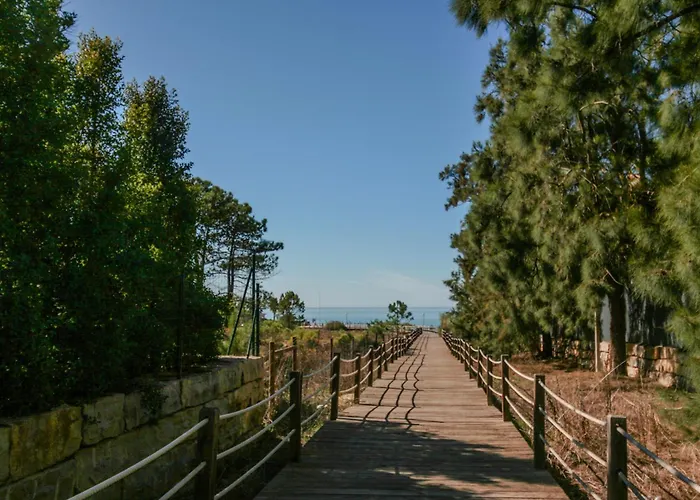 Flh Salgados Balcony Flat *